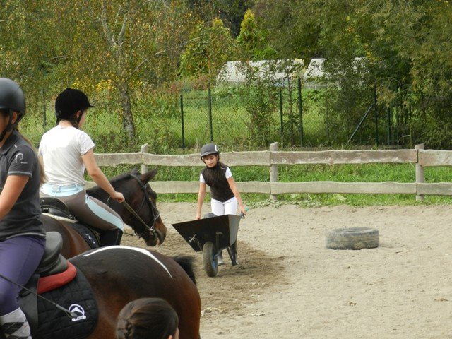Babie Lato 2016